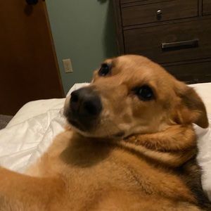 Meet your Posher, Luke